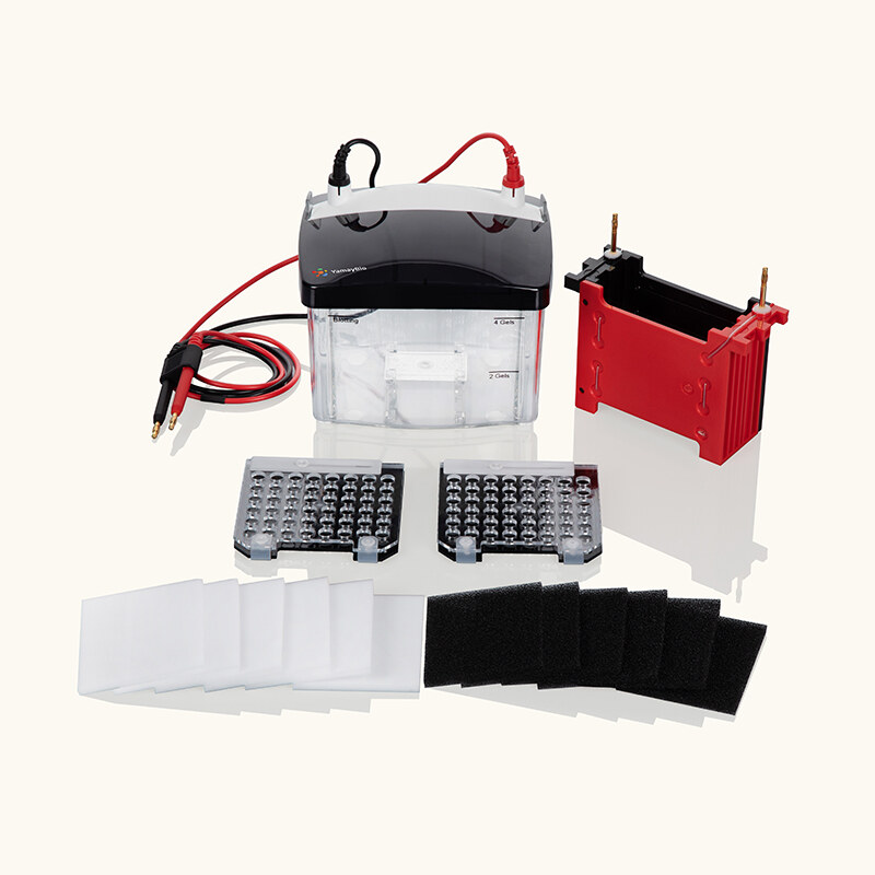 Mini Trans-Blot Electrophoretic Transfer Cell