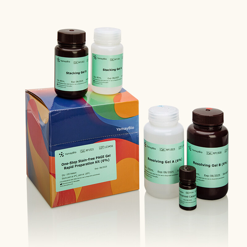 One-Step Stain-Free PAGE Gel Rapid Preparation Kit