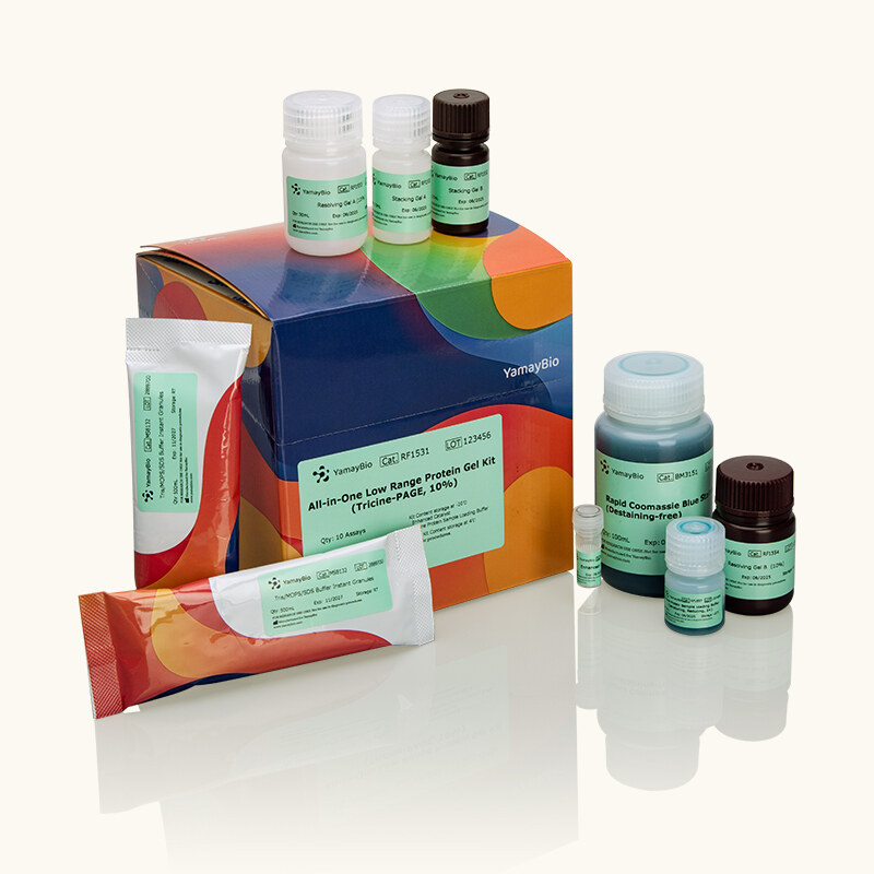 All-in-One Low Range Protein Gel Kit