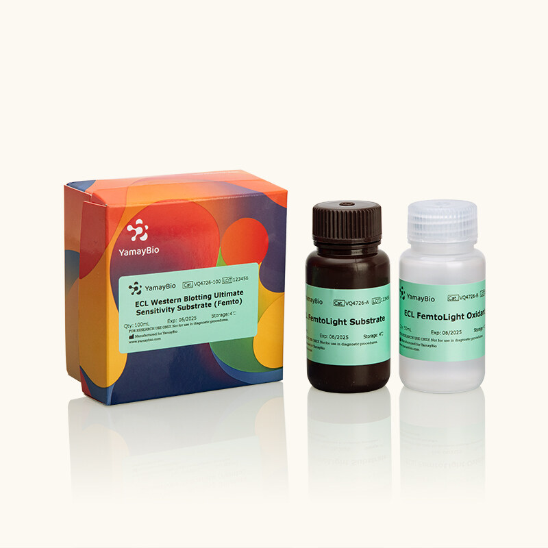 ECL Western Blotting Ultimate Sensitivity Substrate (Femto)