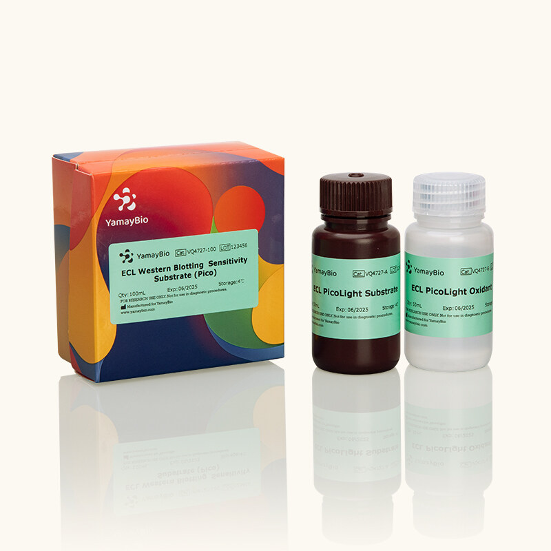 ECL Western Blotting Sensitivity Substrate (Pico)
