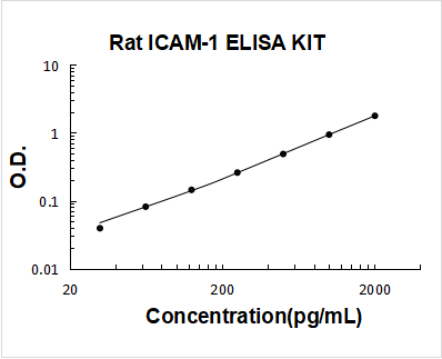 Rat ICAM-1 PicoKine ELISA Kit standard curve
