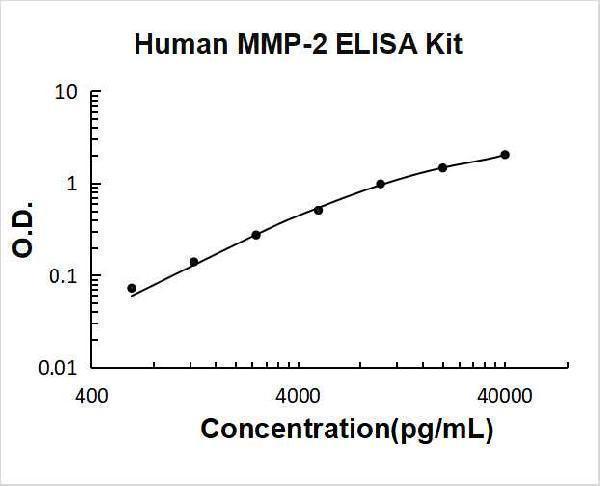 Human MMP-2 PicoKine ELISA Kit standard curve