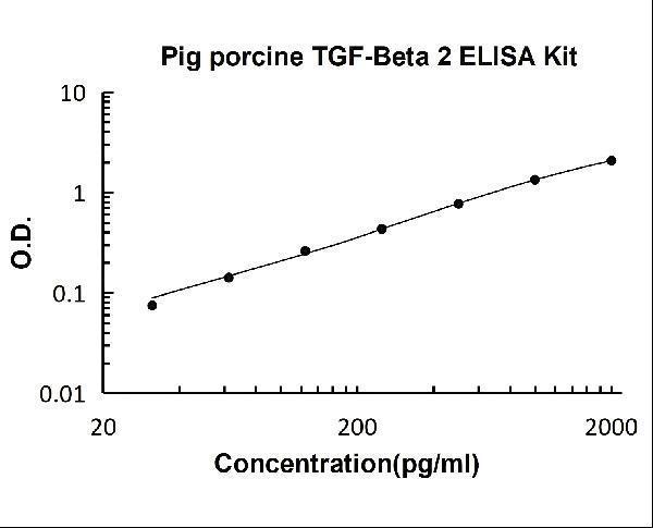 ek0981 po_1