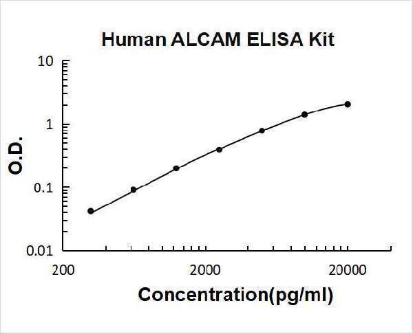Human ALCAM PicoKine ELISA Kit standard curve