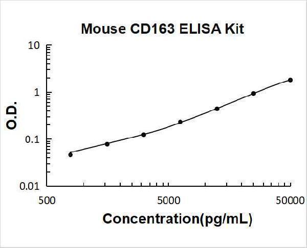 ek1146