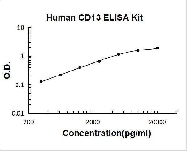 Human CD13/Aminopeptidase N PicoKine ELISA Kit standard curve