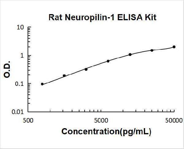 Rat Neuropilin-1 PicoKine ELISA Kit standard curve