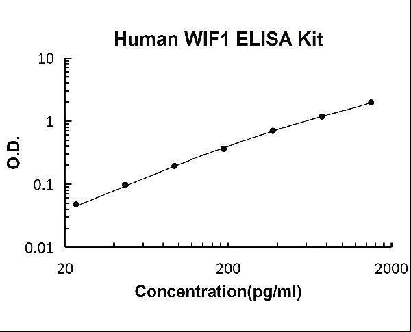 Human WIF1 PicoKine ELISA Kit standard curve