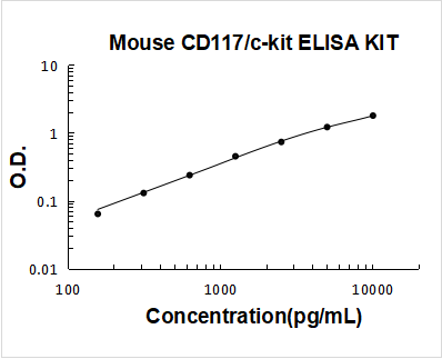 ek1581_1