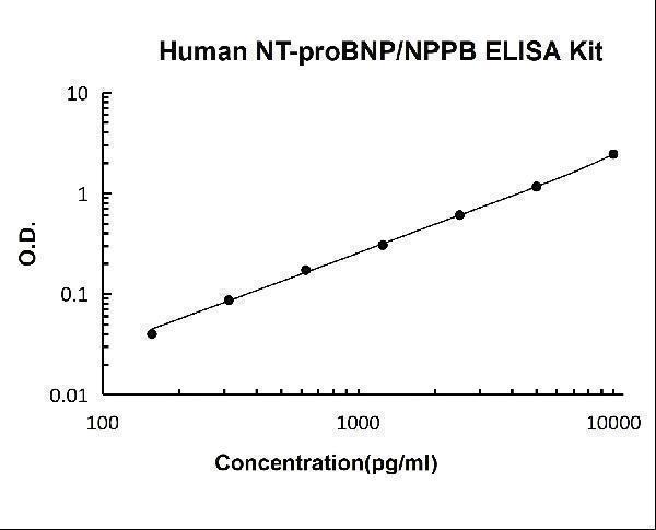 Human NT-proBNP/NPPB ELISA Kit PicoKine standard curve