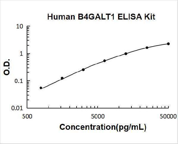 Human B4GALT1 PicoKine ELISA Kit standard curve