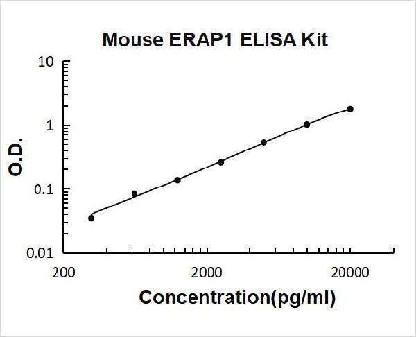 ek2028