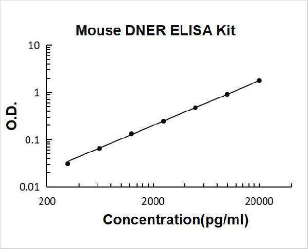 ek2081