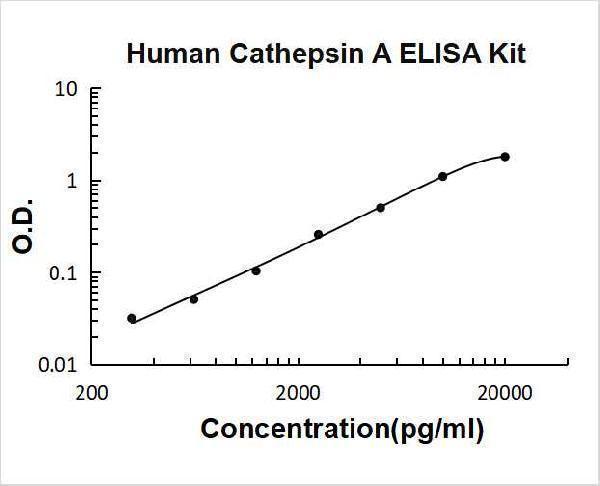 Human Cathepsin A PicoKine ELISA Kit standard curve