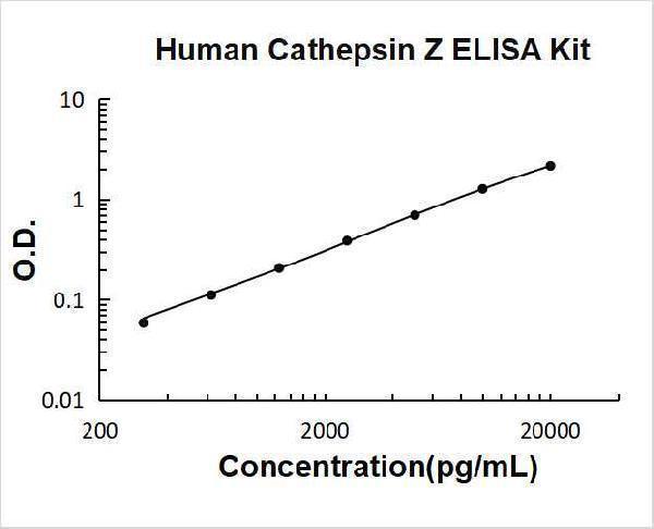 Human Cathepsin Z PicoKine ELISA Kit standard curve