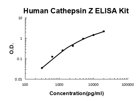 Human Cathepsin Z PicoKine ELISA Kit standard curve