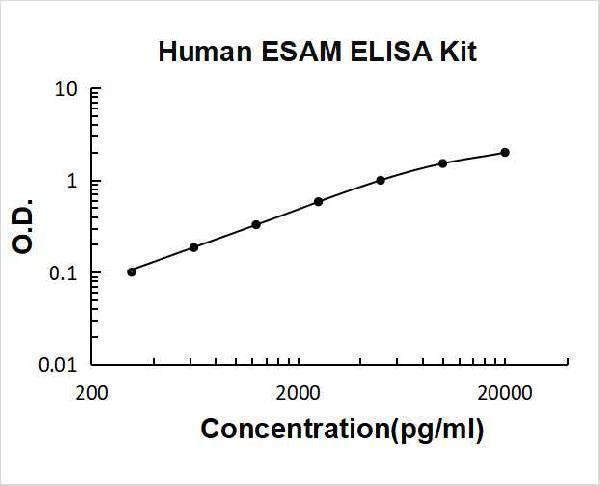 ek2196