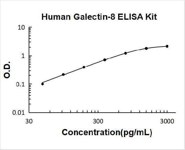 Human Galectin-8 PicoKine ELISA Kit standard curve 