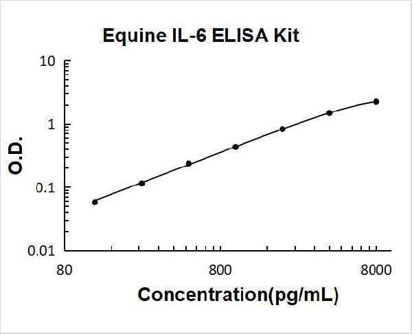 Equine IL-6 PicoKine ELISA Kit standard curve
