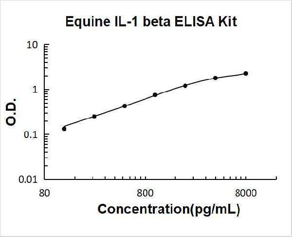 Equine IL-1 beta PicoKine ELISA Kit standard curve