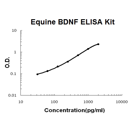 Horse equine BDNF ELISA Kit PicoKine®