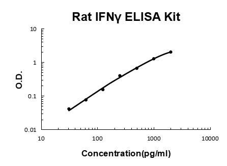 Rat IFN gamma EZ-Set ELISA Kit standard curve