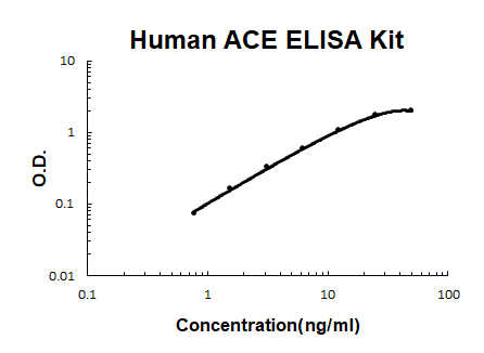 Human ACE PicoKine ELISA Kit standard curve