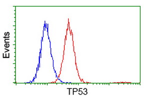 m00001 5 anti p53 tp53 mouse monoclonal antibody clone id oti1d11 flow cytometry testing 8
