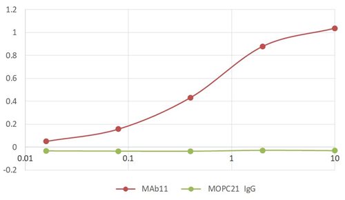 m00002 2 tnf alpha primary antibodies elisa testing 1