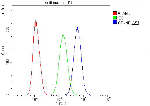 Flow Cytometry analysis of SiHa cells using anti-beta Catenin antibody (M00004-2). Overlay histogram showing SiHa cells stained with M00004-2 (Blue line).The cells were blocked with 10% normal goat serum. And then incubated with mouse anti-beta Catenin Antibody (M00004-2,1μg/1x106 cells) for 30 min at 20°C. DyLight®488 conjugated goat anti-mouse IgG (BA1126, 5-10μg/1x106 cells) was used as secondary antibody for 30 minutes at 20°C. Isotype control antibody (Green line) was mouse IgG (1μg/1x106) used under the same conditions. Unlabelled sample (Red line) was also used as a control.