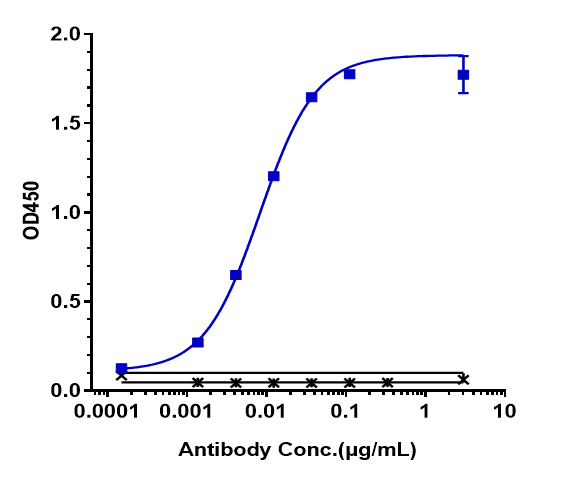 Immobilized human HER2 His at 2 &mug/mL can bind Anti-ERBB2/HER2/CD340 Reference Antibody (trastuzumab-MMAE)