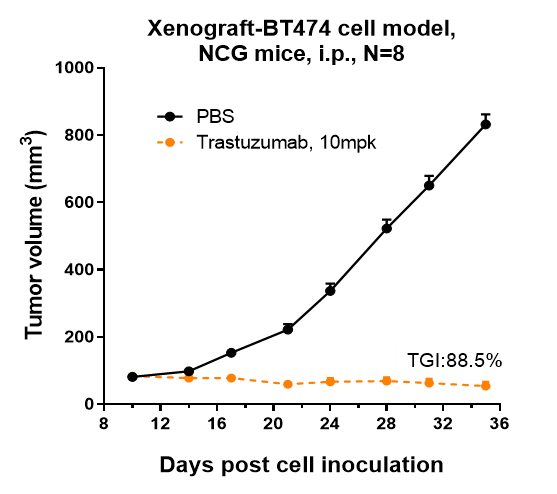 m00010 5 xenograft bt474 cell model