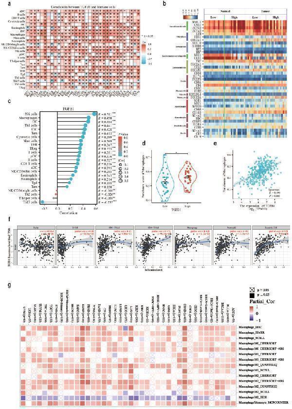 The association between TGFβ1 and the immune microenvironment associated with GC tumors