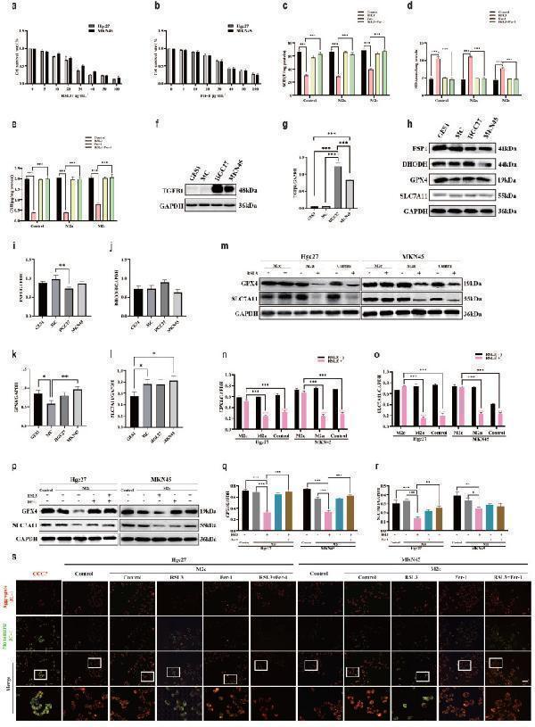 m00019 4 jcav16p1598g007