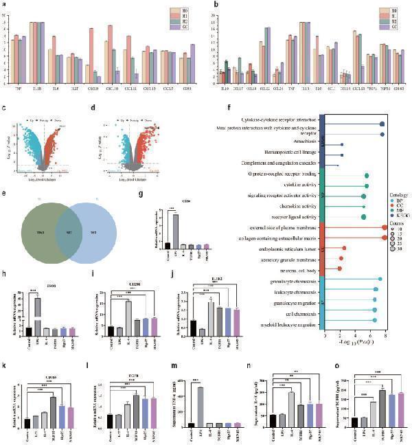 m00019 4 jcav16p1598g008