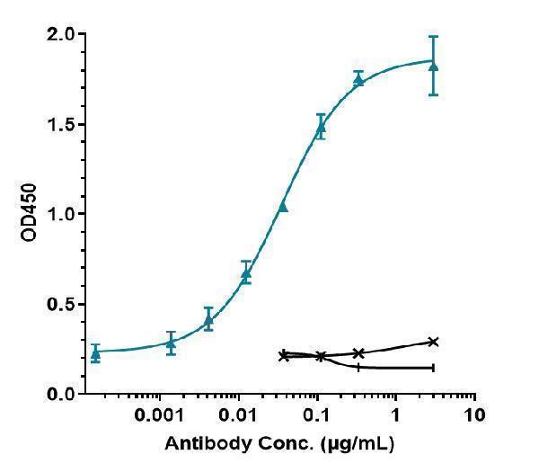 Immobilized human TGFb1 His at 2 &mug/mL can bind Anti-TGFb1 Reference Antibody (SRK181)
