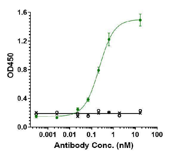Immobilized human PD L1 FC at 2 &mug/mL can bind Anti-TGFb1 Reference Antibody (M7824)