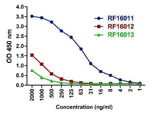 m00020 1 ctla4 primary antibodies elisa testing 8
