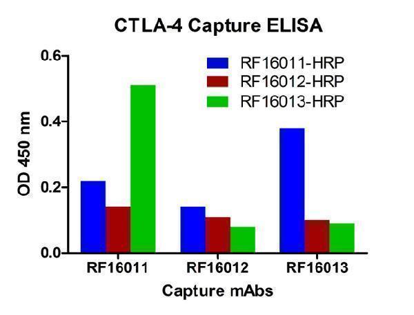 m00020 1 ctla4 primary antibodies elisa testing 9