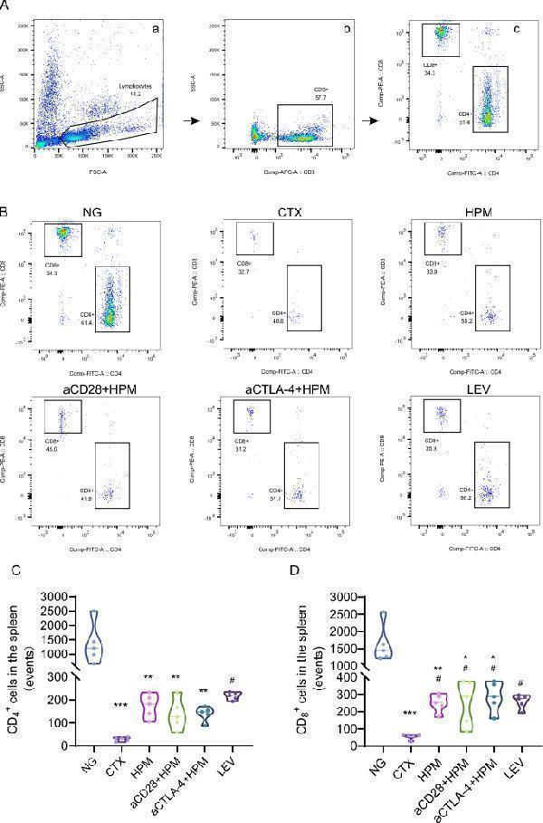 m00020 13020_2024_898_fig6_html