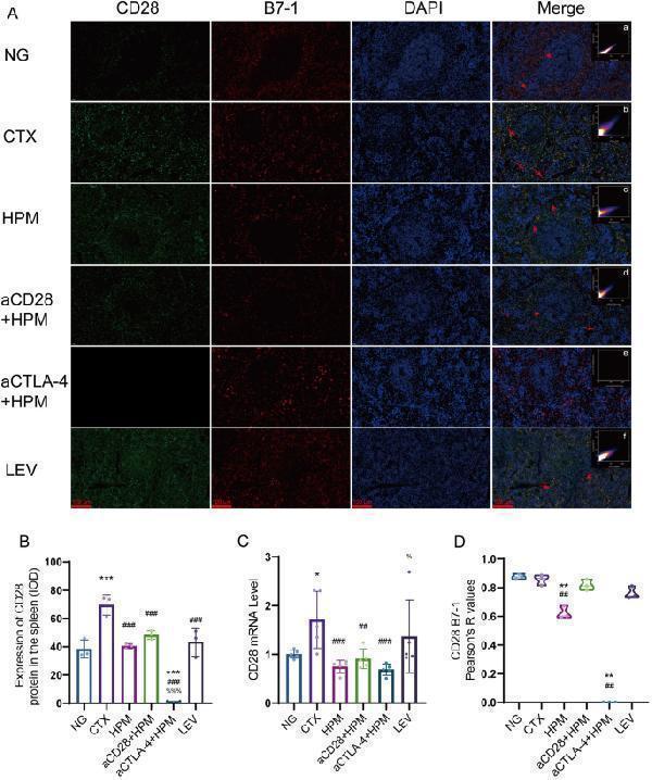 m00020 13020_2024_898_fig7_html