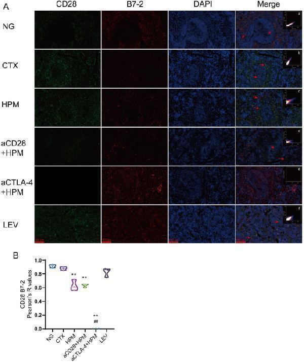 m00020 13020_2024_898_fig8_html