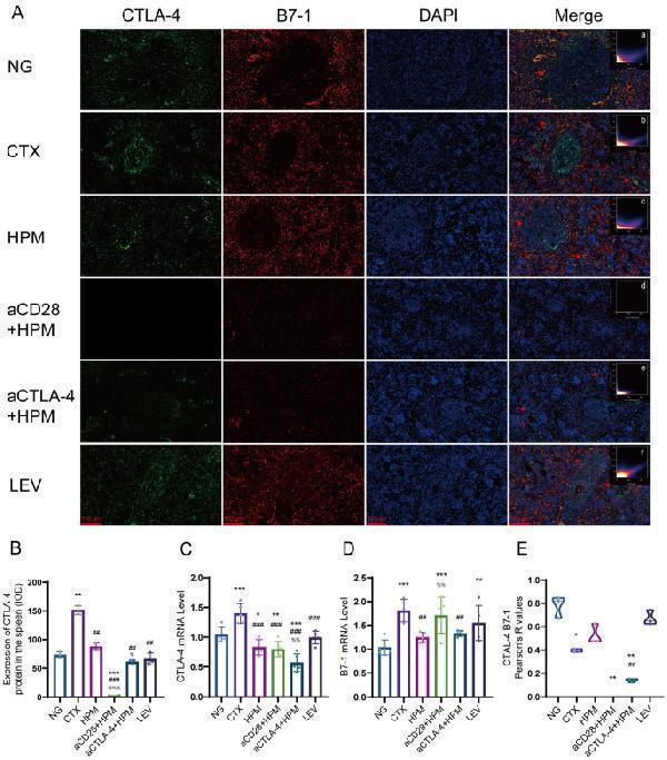 m00020 13020_2024_898_fig9_html