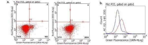 m00020 2 anti ctla4 mouse monoclonal antibody clone id oti8f1 flow cytometry testing 4