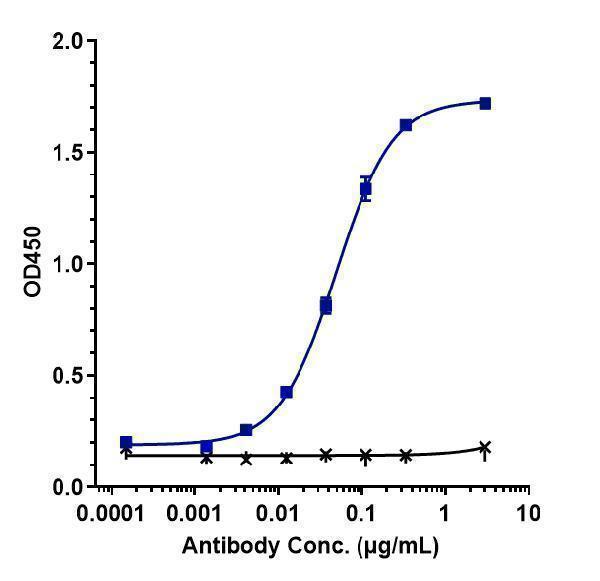 Immobilized human CTLA 4 His at 2 &mug/mL can bind Anti-CTLA-4/CD152 Reference Antibody (Antitope patent anti-CTLA4)