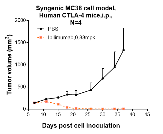 m00020 7 syngenic mc38 cell model