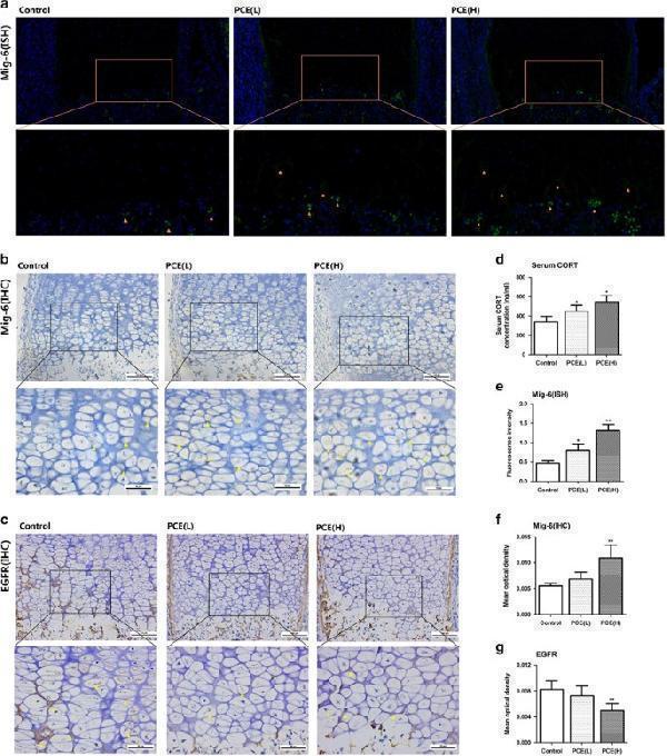 m00023 2 41419_2017_bfcddis2017546_fig3_html