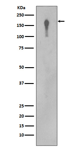 m00023 4 wb