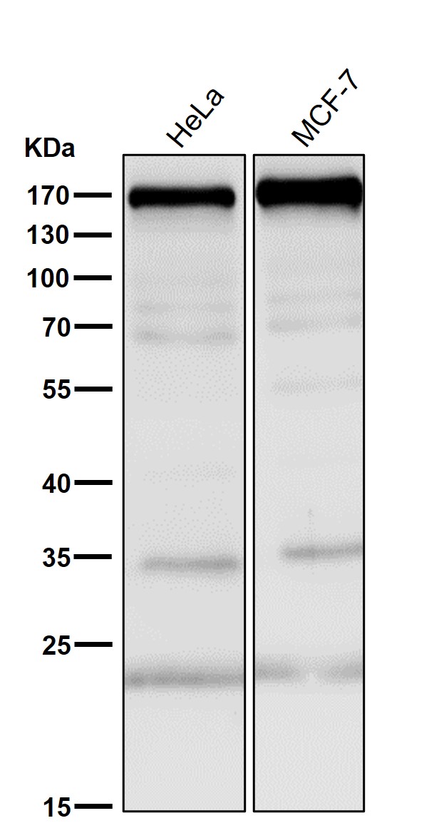 m00023 4 wb7